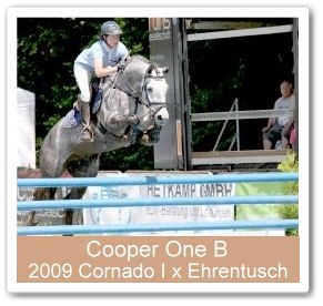 Cooper One B - Westfalen Champion 2013