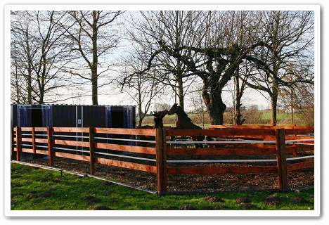 Fohlenbereich - Parkhof Enger - Zucht- und Ausbildungsstall in Westerenger Bielefeld Germany 