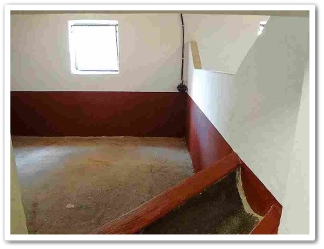 Laufstall - Parkhof Enger - Zucht- und Ausbildungsstall in Westerenger Bielefeld Germany 