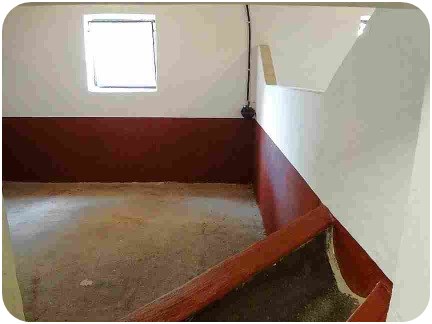 Laufstall - Parkhof Enger - Zucht- und Ausbildungsstall in Westerenger Bielefeld Germany 