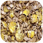 Vital Horse Champ Mix ohne Hafer