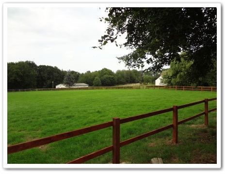 Weide 1 - Parkhof Enger - Zucht- und Ausbildungsstall in Westerenger Bielefeld Germany 